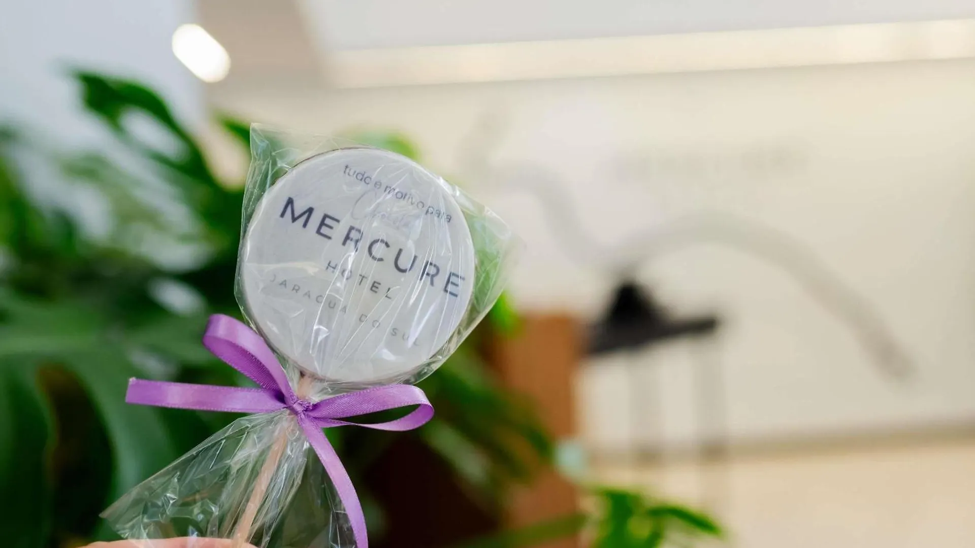 Mercure Jaraguá do Sul 4*,  ברזיל